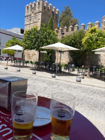 Cañas 01