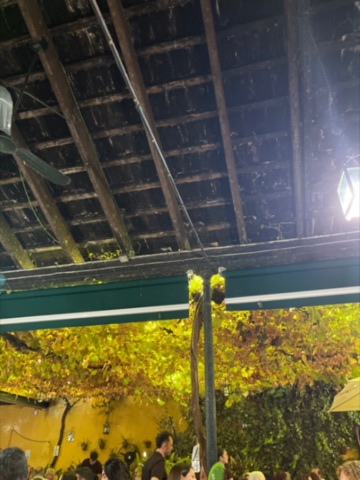 El patio del restaurante